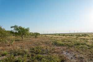350 County Rd 146 (17)