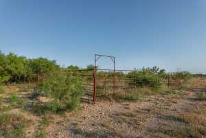 350 County Rd 146 (18)
