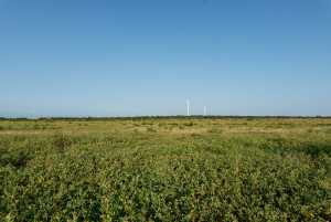 350 County Rd 146 (20)