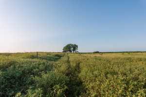 350 County Rd 146 (21)