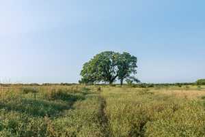 350 County Rd 146 (22)
