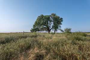 350 County Rd 146 (24)