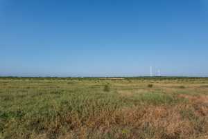 350 County Rd 146 (26)