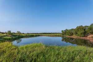 350 County Rd 146 (28)