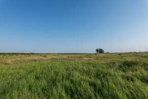 350 County Rd 146 (29)