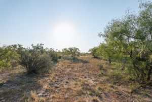 350 County Rd 146 (31)