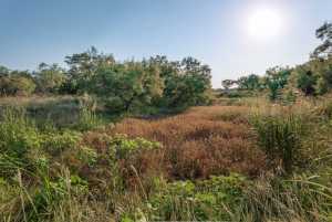 350 County Rd 146 (33)