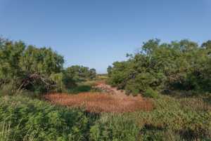 350 County Rd 146 (35)