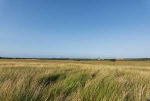 350 County Rd 146 (41)