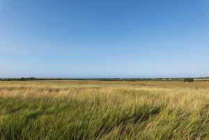 350 County Rd 146 (42)