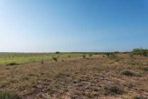 350 County Rd 146 (46)