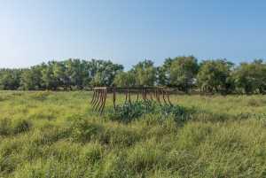 350 County Rd 146 (47)