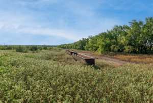 350 County Rd 146 (48)