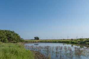 350 County Rd 146 (49)