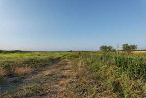 350 County Rd 146 (5)