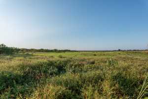 350 County Rd 146 (6)