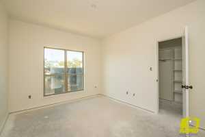 9503 Grey Wolf Lane (10)