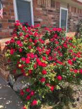 1030 Scott Lane (3)