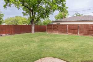 1905 Live Oak St (27)