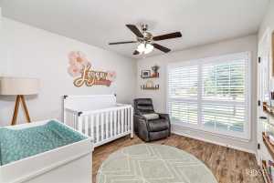 4309 Shefflera Dr (22)