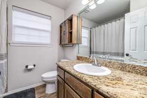 4309 Shefflera Dr (23)