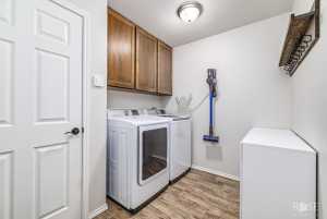 4309 Shefflera Dr (25)