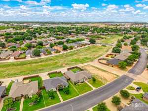 4309 Shefflera Dr (34)