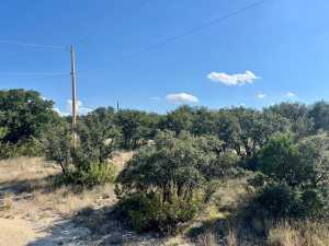 4120 Majestic Oaks Dr (5)