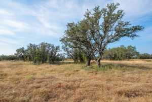 6960 Buck Ridge (10)