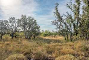 6960 Buck Ridge (14)