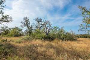 6960 Buck Ridge (15)