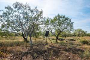 6960 Buck Ridge (17)