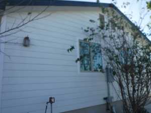 273 County Rd 2596 (6)
