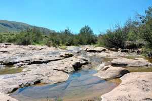 48309 Hwy 118 (10)