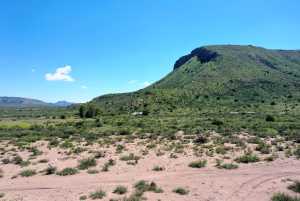48309 Hwy 118 (11)