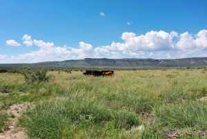 48309 Hwy 118 (15)