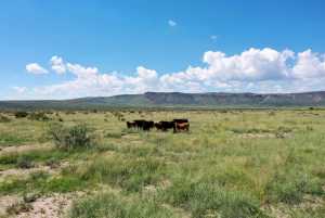 48309 Hwy 118 (16)