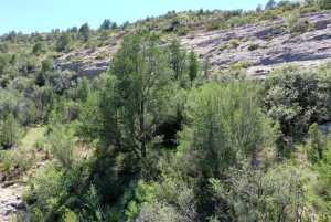 48309 Hwy 118 (21)