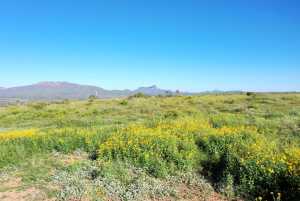 48309 Hwy 118 (38)