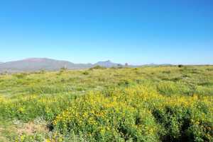 48309 Hwy 118 (39)