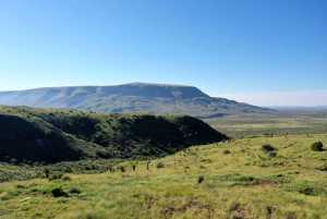 48309 Hwy 118 (40)
