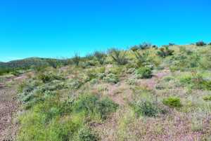48309 Hwy 118 (46)