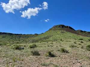 48309 Hwy 118 (57)