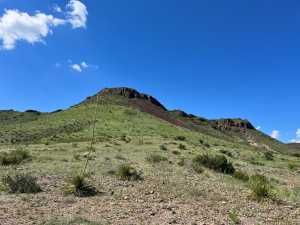 48309 Hwy 118 (58)