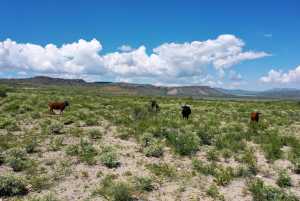 48309 Hwy 118 (8)