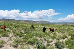 48309 Hwy 118 (9)