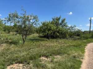 14235 Fawn Dr