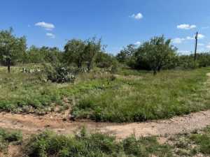 14235 Fawn Dr (2)