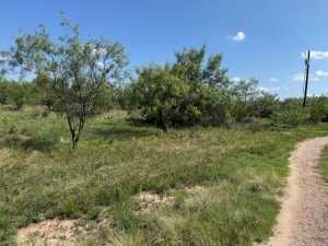 14235 Fawn Dr (3)