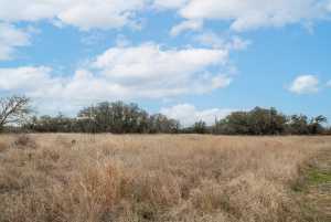 9290 Buck Ridge (12)